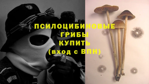 молекула духа Белокуриха