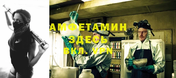 молекула духа Белокуриха