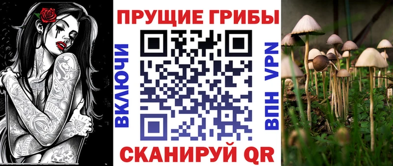 продажа наркотиков  Заречный  Галлюциногенные грибы GOLDEN TEACHER 